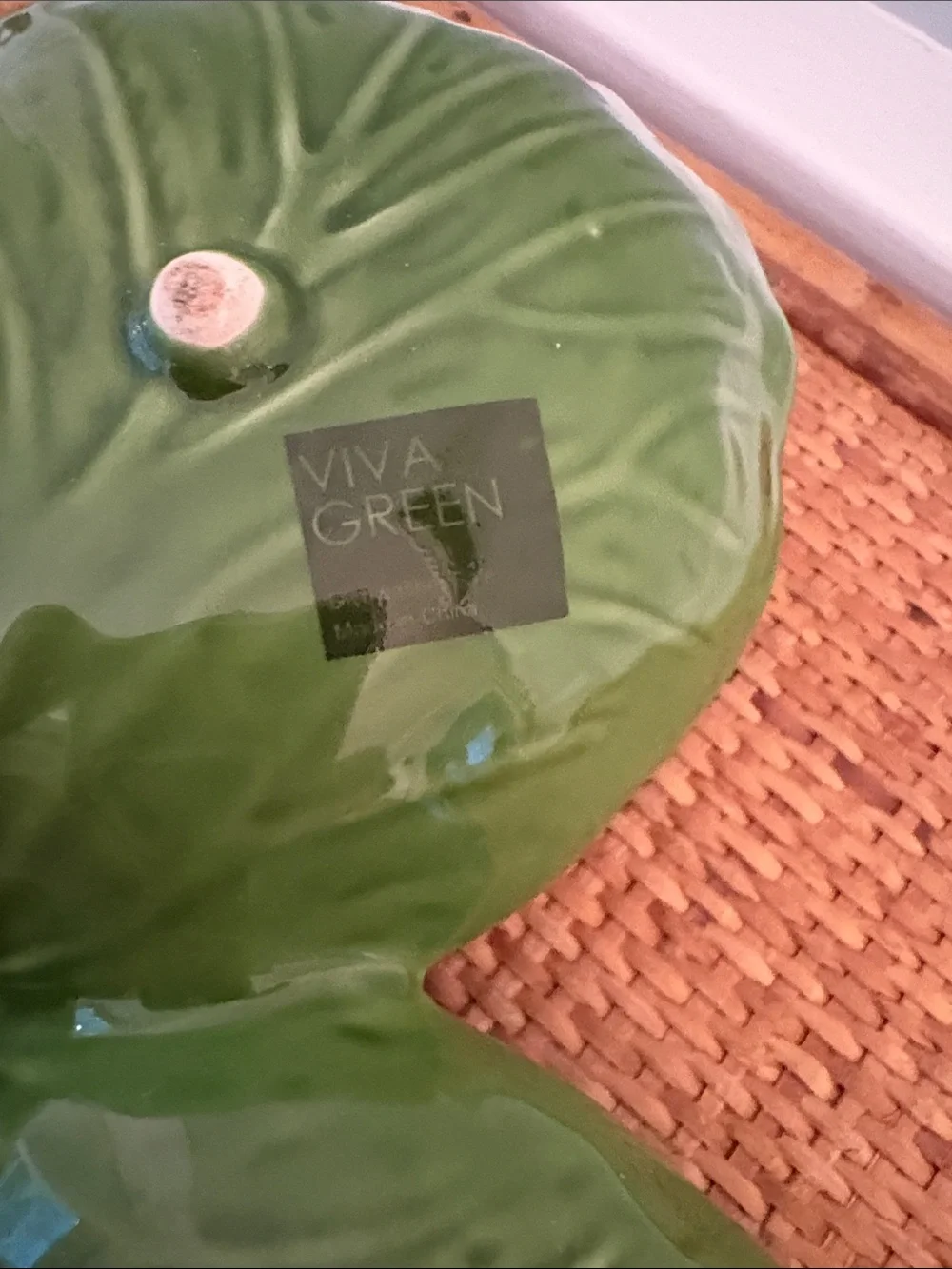 Viva green stylish cabbage